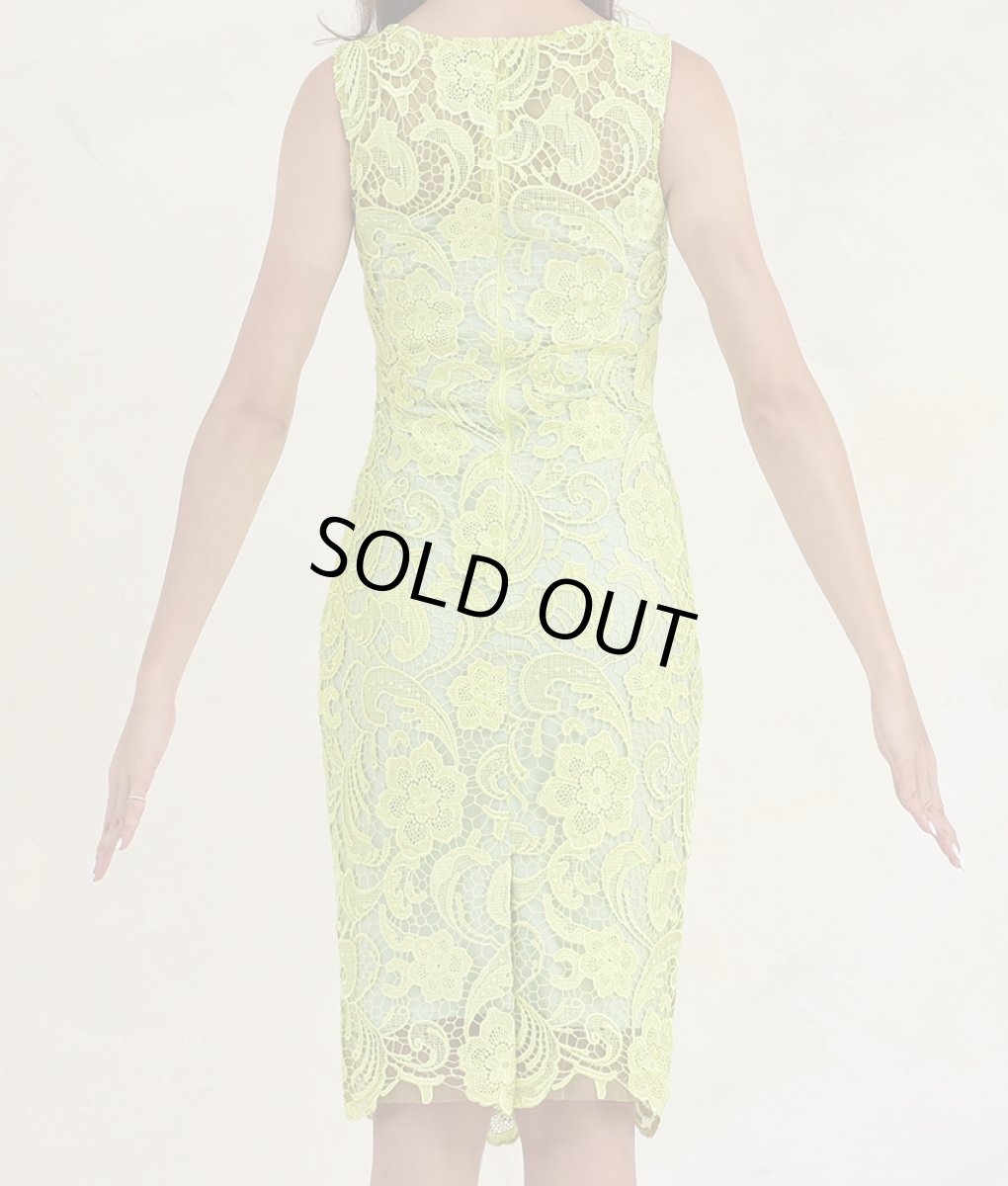 画像9: [ERUKEI]総レース・エレガント・ショート丈・ノースリーブ・タイト・ミニドレス・ワンピース[山崎みどり・れお着用][送料無料]myyl (9)