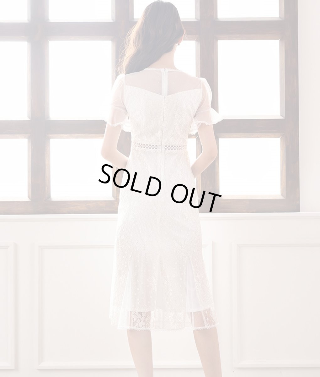 画像4: [ERUKEI Settan]ラメレース・シースルー・半袖・マーメイドライン・ミディアム丈・ミディアム・ドレス・ワンピース《送料＆代引き手数料無料》mypk (4)