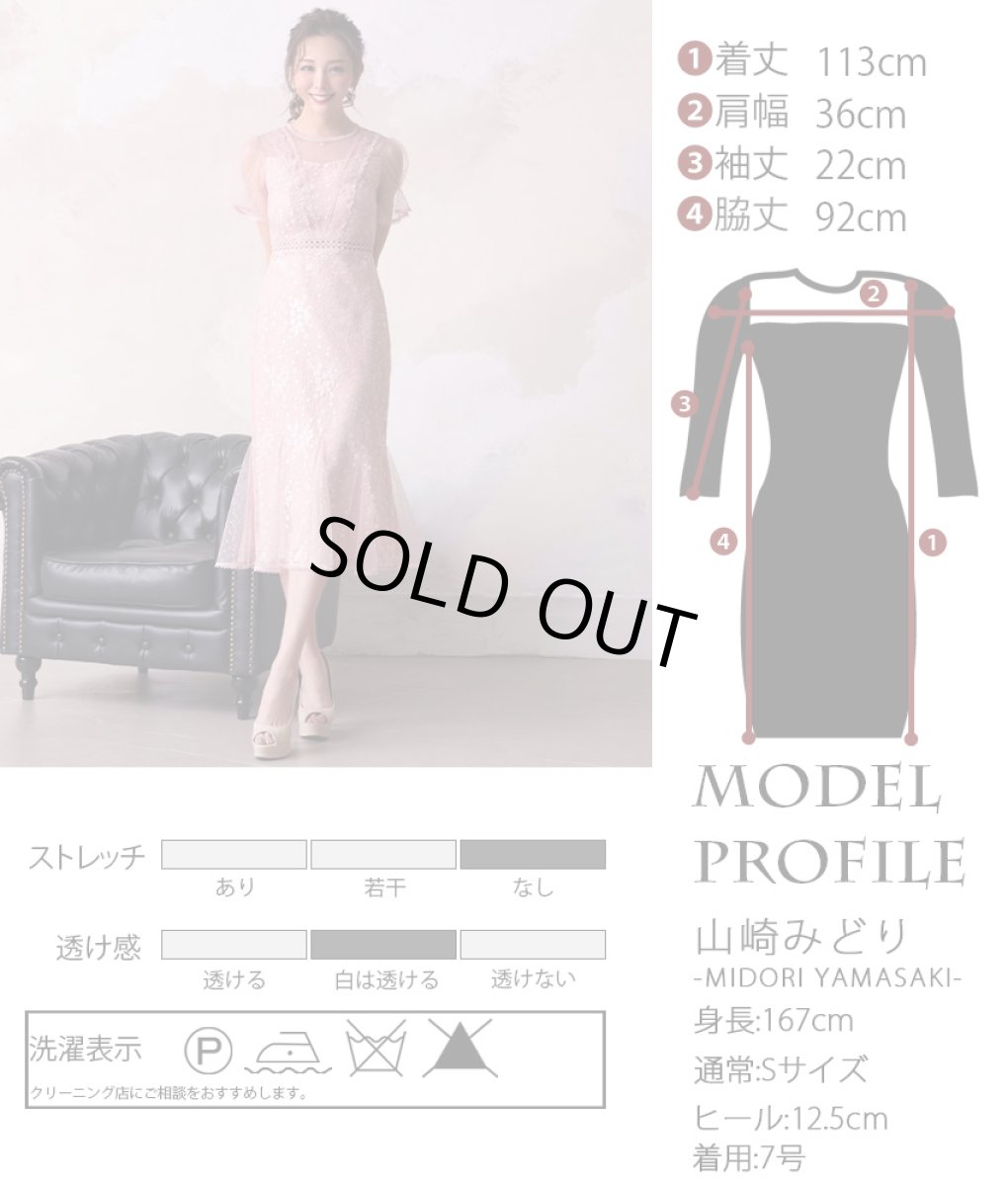 画像6: [ERUKEI Settan]ラメレース・シースルー・半袖・マーメイドライン・ミディアム丈・ミディアム・ドレス・ワンピース《送料＆代引き手数料無料》mypk (6)