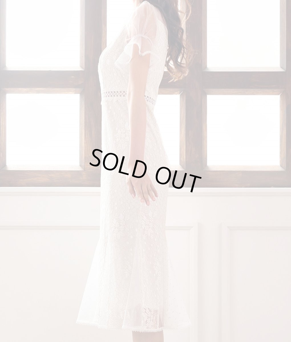 画像8: [ERUKEI Settan]ラメレース・シースルー・半袖・マーメイドライン・ミディアム丈・ミディアム・ドレス・ワンピース《送料＆代引き手数料無料》mypk (8)