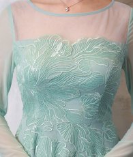 画像15: [ XS-Lサイズ / 2カラー ][ERUKEI]花柄・刺繍・チュール・スパンコール・長袖・ロングスリーブ・シアー・マキシ丈・Aライン・フレア・ロングドレス[山崎みどり着用][送料無料] mygr (15)