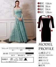 画像19: [ XS-Lサイズ / 2カラー ][ERUKEI]花柄・刺繍・チュール・スパンコール・長袖・ロングスリーブ・シアー・マキシ丈・Aライン・フレア・ロングドレス[山崎みどり着用][送料無料] mygr (19)