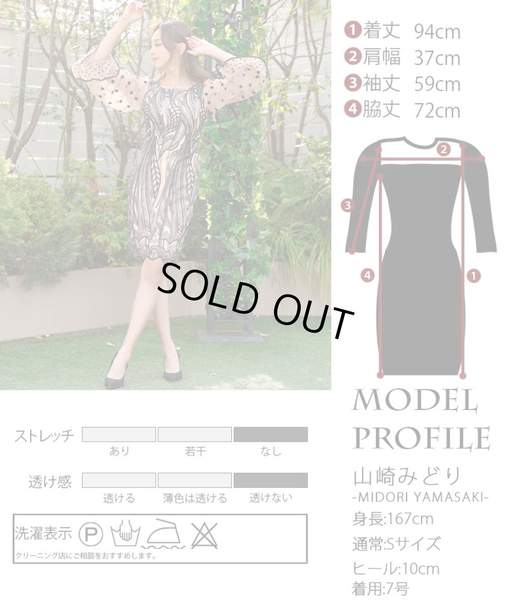 画像5: [ERUKEI]ブラック×ベージュ・ドット・レース・シースルー・ロングスリーブ・タイト・ミニドレス・ワンピース[山崎みどり着用]《送料＆代引き手数料無料》 (5)