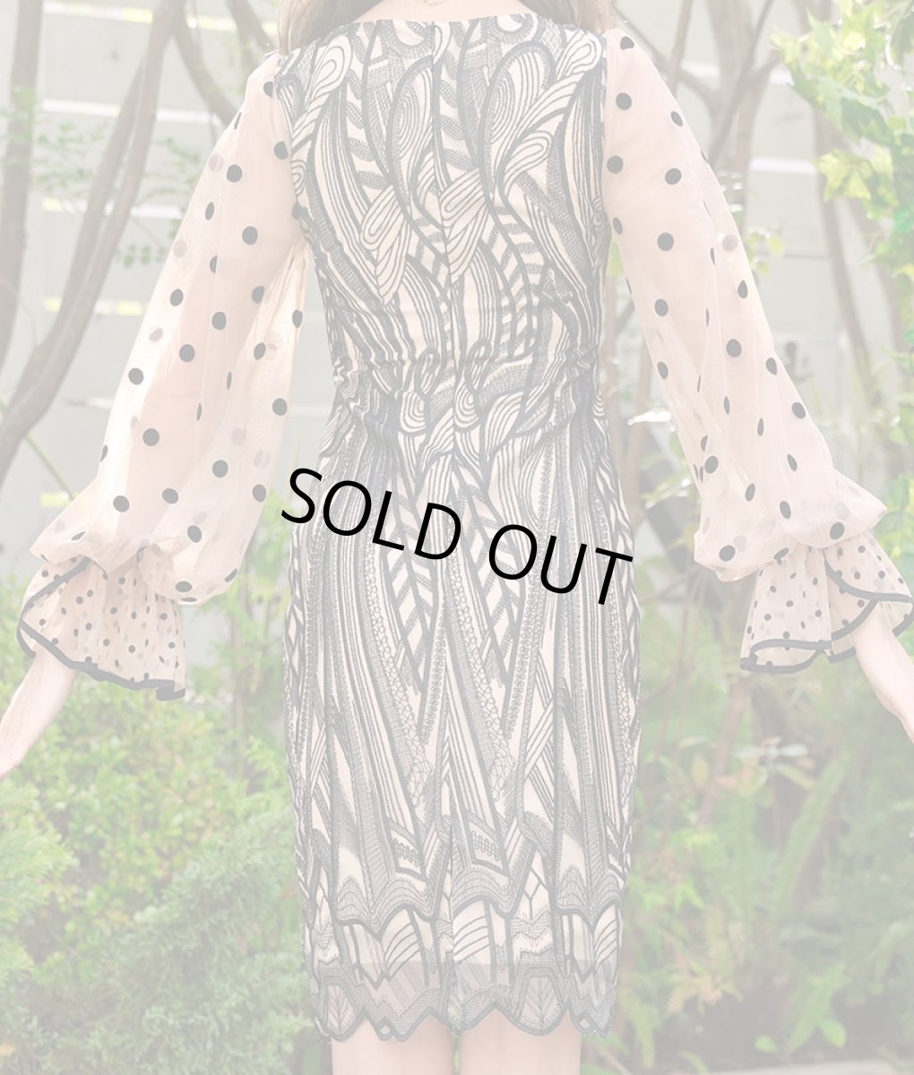 画像8: [ERUKEI]ブラック×ベージュ・ドット・レース・シースルー・ロングスリーブ・タイト・ミニドレス・ワンピース[山崎みどり着用]《送料＆代引き手数料無料》 (8)