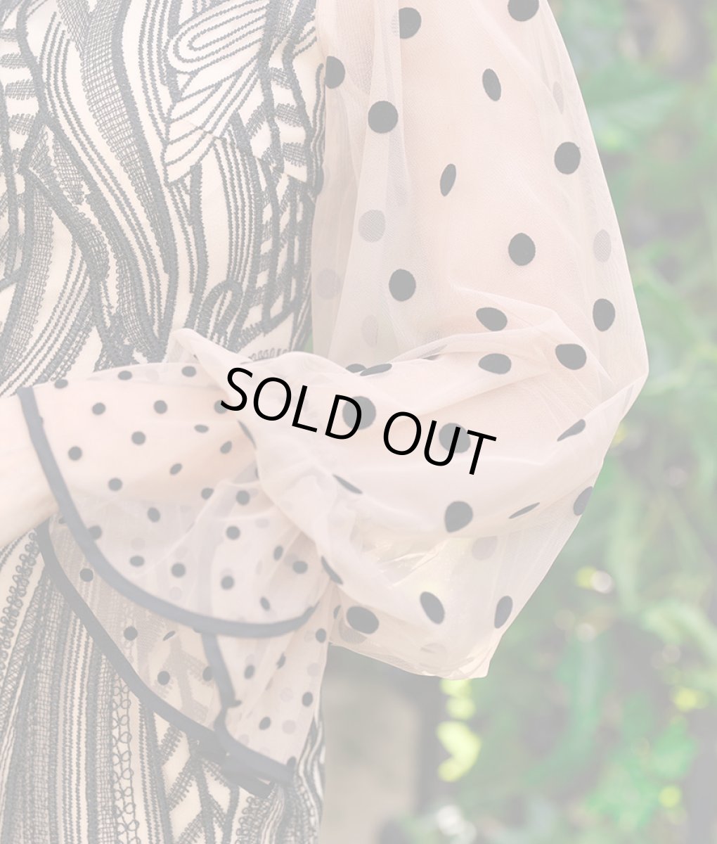 画像10: [ERUKEI]ブラック×ベージュ・ドット・レース・シースルー・ロングスリーブ・タイト・ミニドレス・ワンピース[山崎みどり着用]《送料＆代引き手数料無料》 (10)