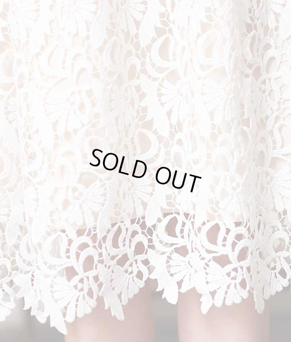 画像12: [ERUKEI]ホワイト・ベージュベース・総レース・フレア・長袖・Aライン・ミディアムドレス・ワンピース[山崎みどり着用]《送料＆代引き手数料無料》 (12)