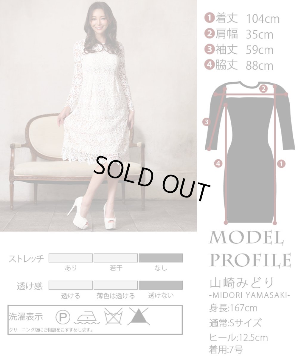 画像5: [ERUKEI]ホワイト・ベージュベース・総レース・フレア・長袖・Aライン・ミディアムドレス・ワンピース[山崎みどり着用]《送料＆代引き手数料無料》 (5)