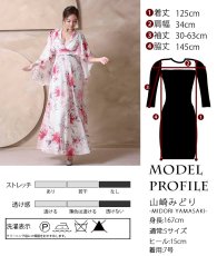 画像8: [ XS-Lサイズ / 1カラー][ERUKEI]袖付き・ハーフスリーブ・カシュクール・花柄・プリント・シアー・Aライン・ロングドレス[山崎みどり着用][送料無料] mywhpk (8)