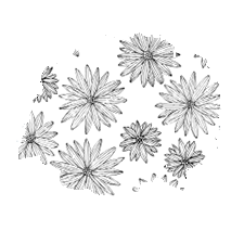 花柄